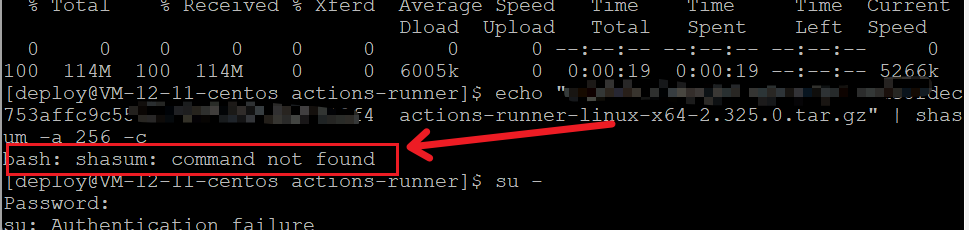 image-20250611000436825